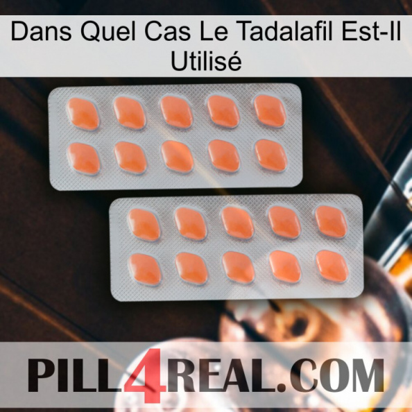 Dans Quel Cas Le Tadalafil Est-Il Utilisé 27.jpg